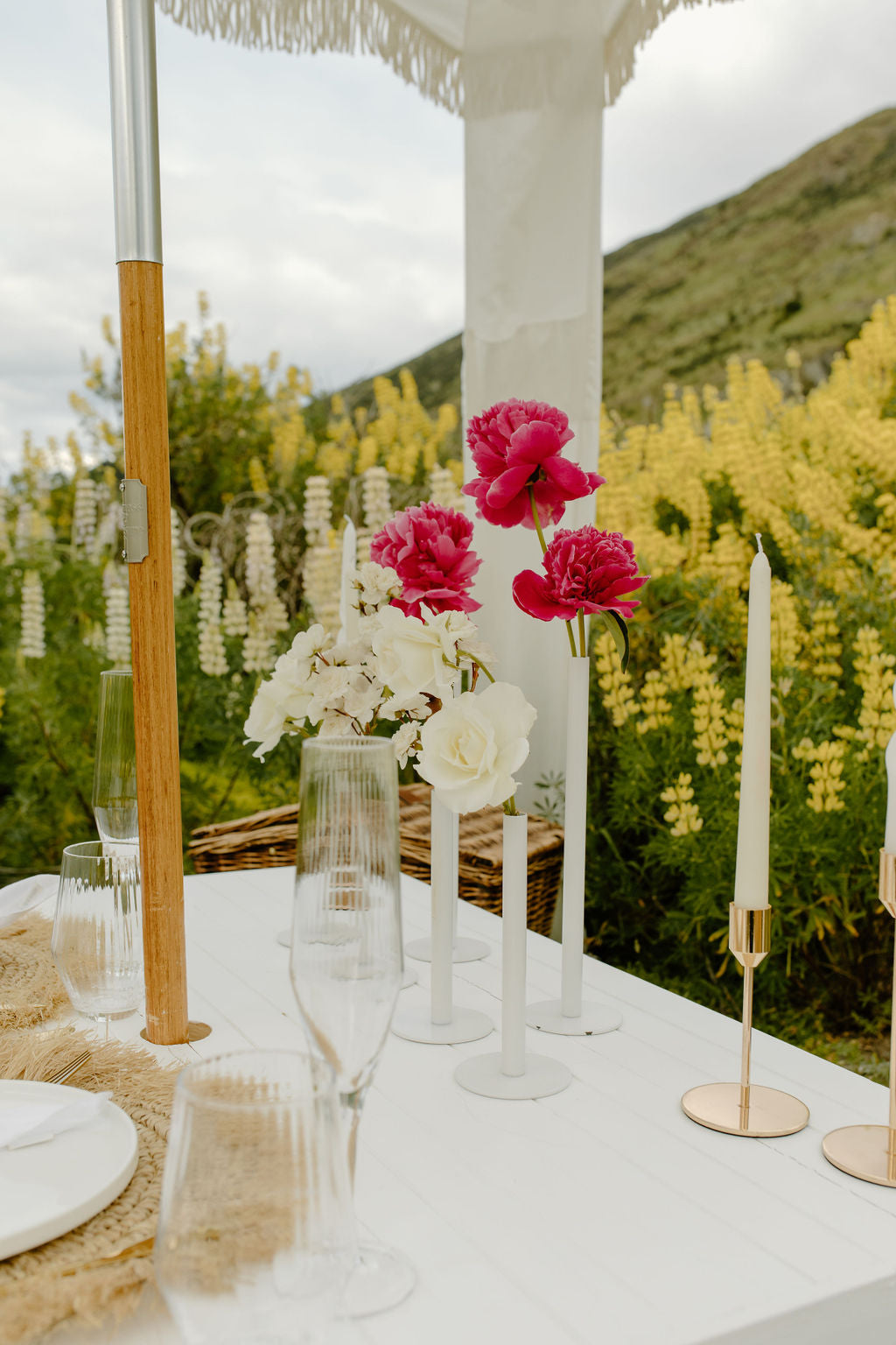 Picnic in Lupins