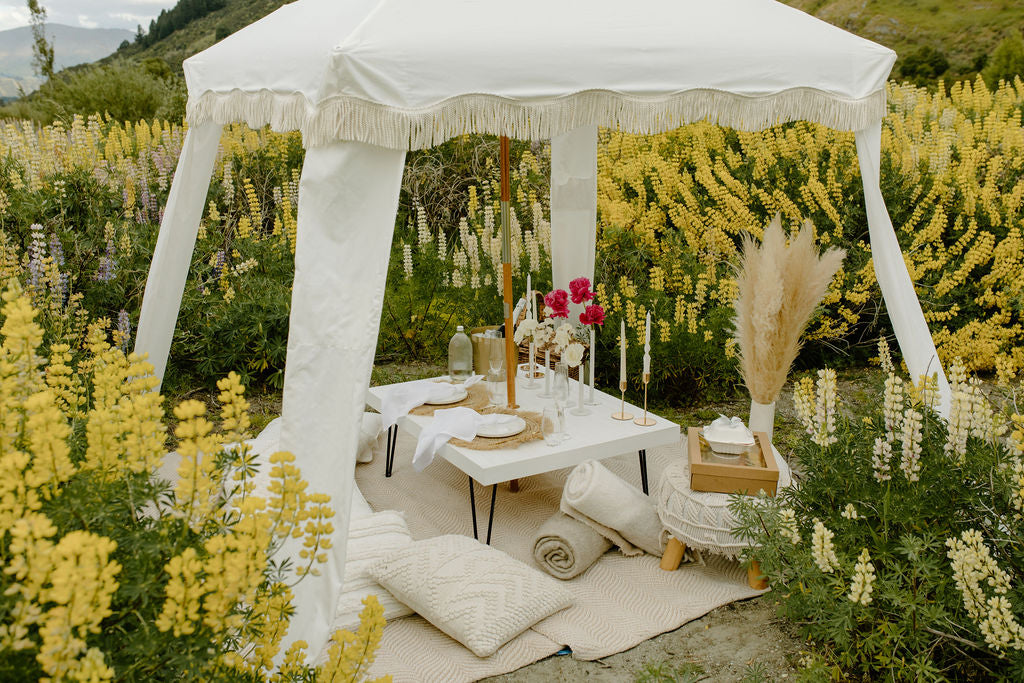 Picnic in Lupins
