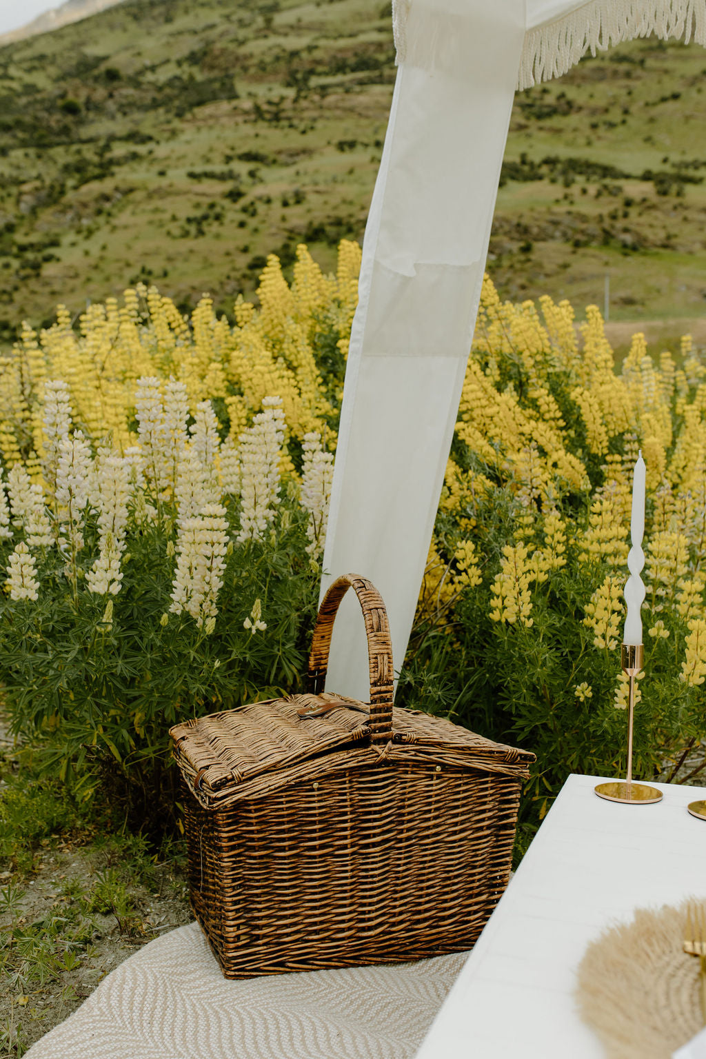 Picnic in Lupins