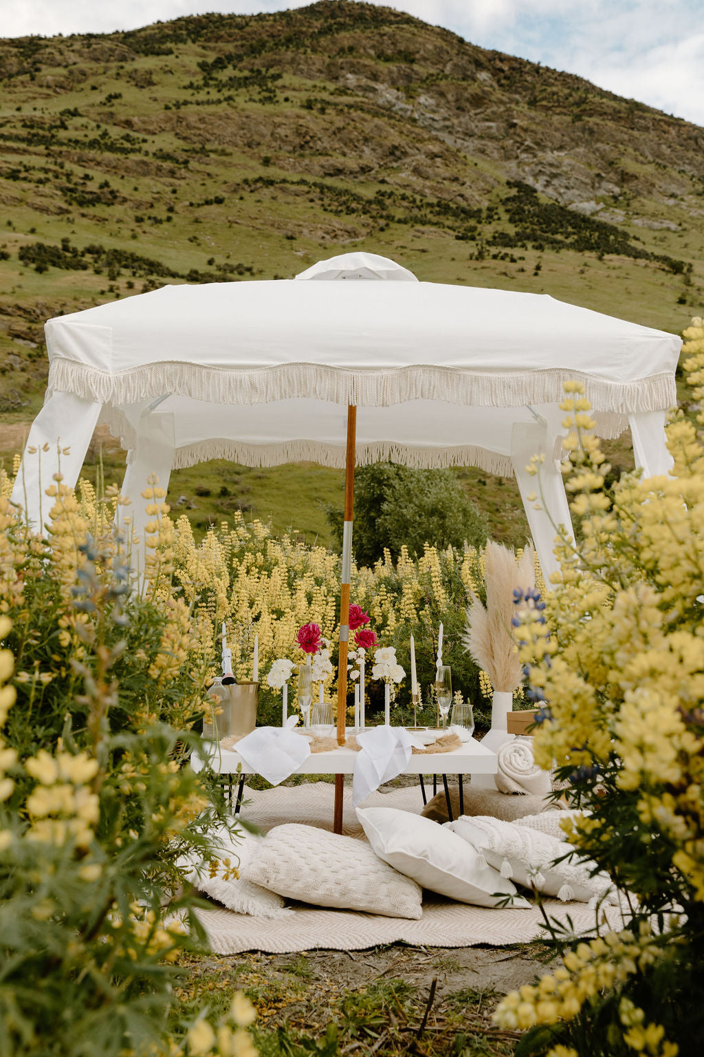 Picnic in Lupins