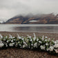 White Floral Proposal Setup