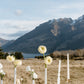 Floral arrangements and candles in a field with mountains in the background