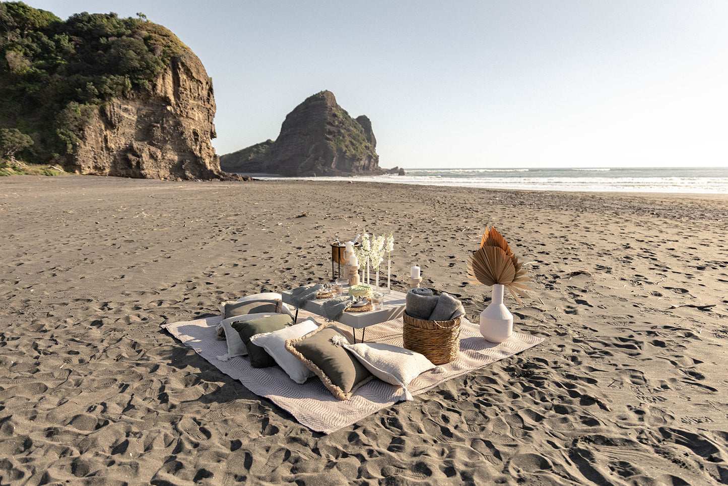 Picnic For Two