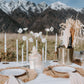 Luxury picnic set up in a front of The Remarkables, Queenstown