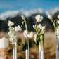 proposal-fowers-queenstown