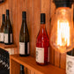 Picnic & Wine Tasting