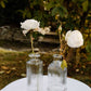 Glass Bud Vases
