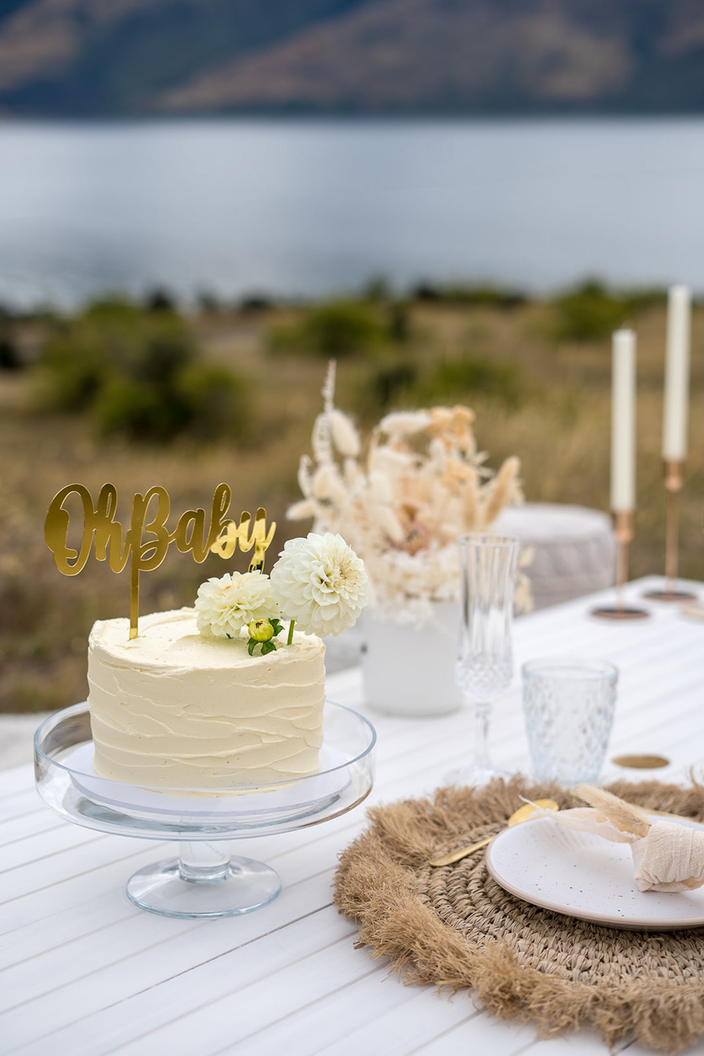 Gender Reveal Picnic