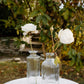 Glass Bud Vases