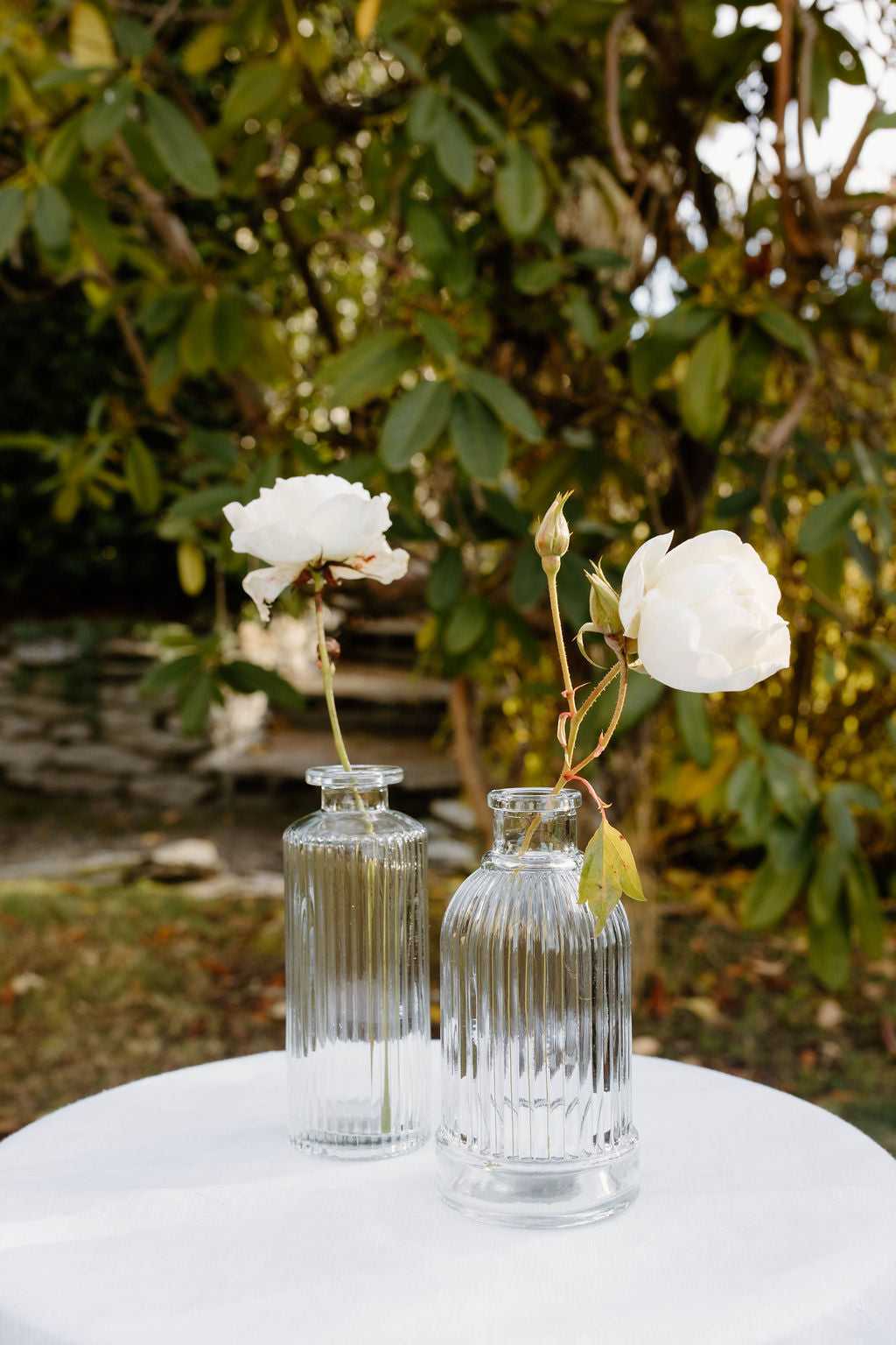 Glass Bud Vases