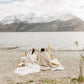 Romantic beach elopement picnic for two on a beach with mountains in the distance.