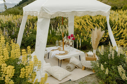 Picnic in Lupins