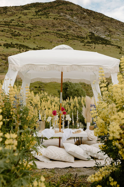Picnic in Lupins