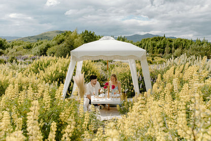 Picnic in Lupins
