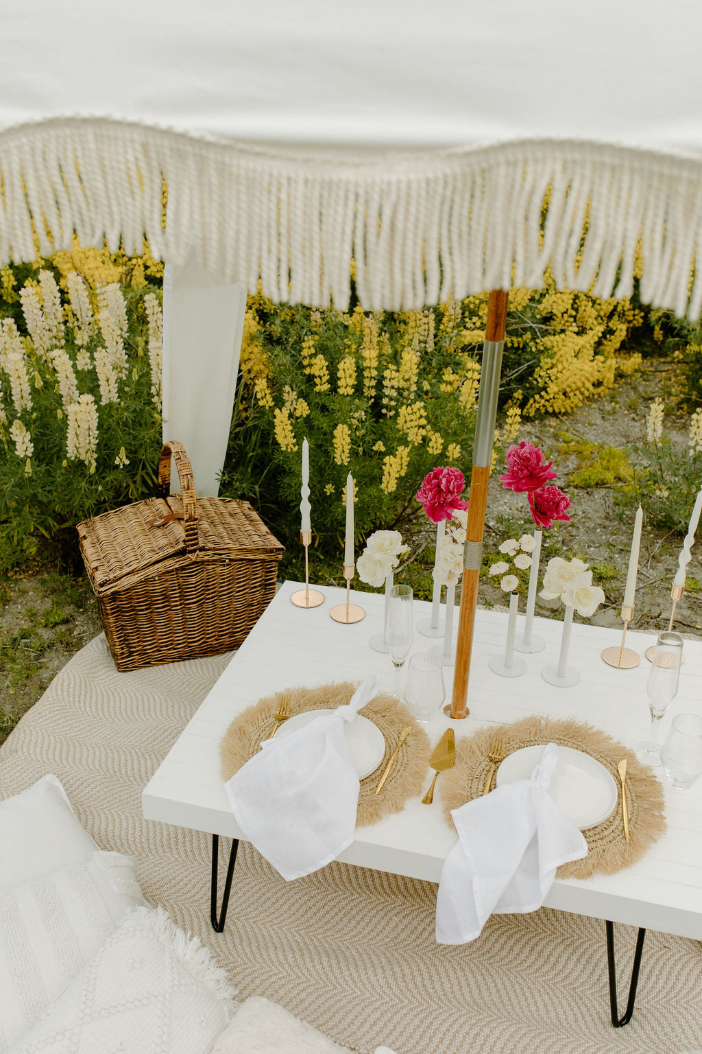 Picnic in Lupins
