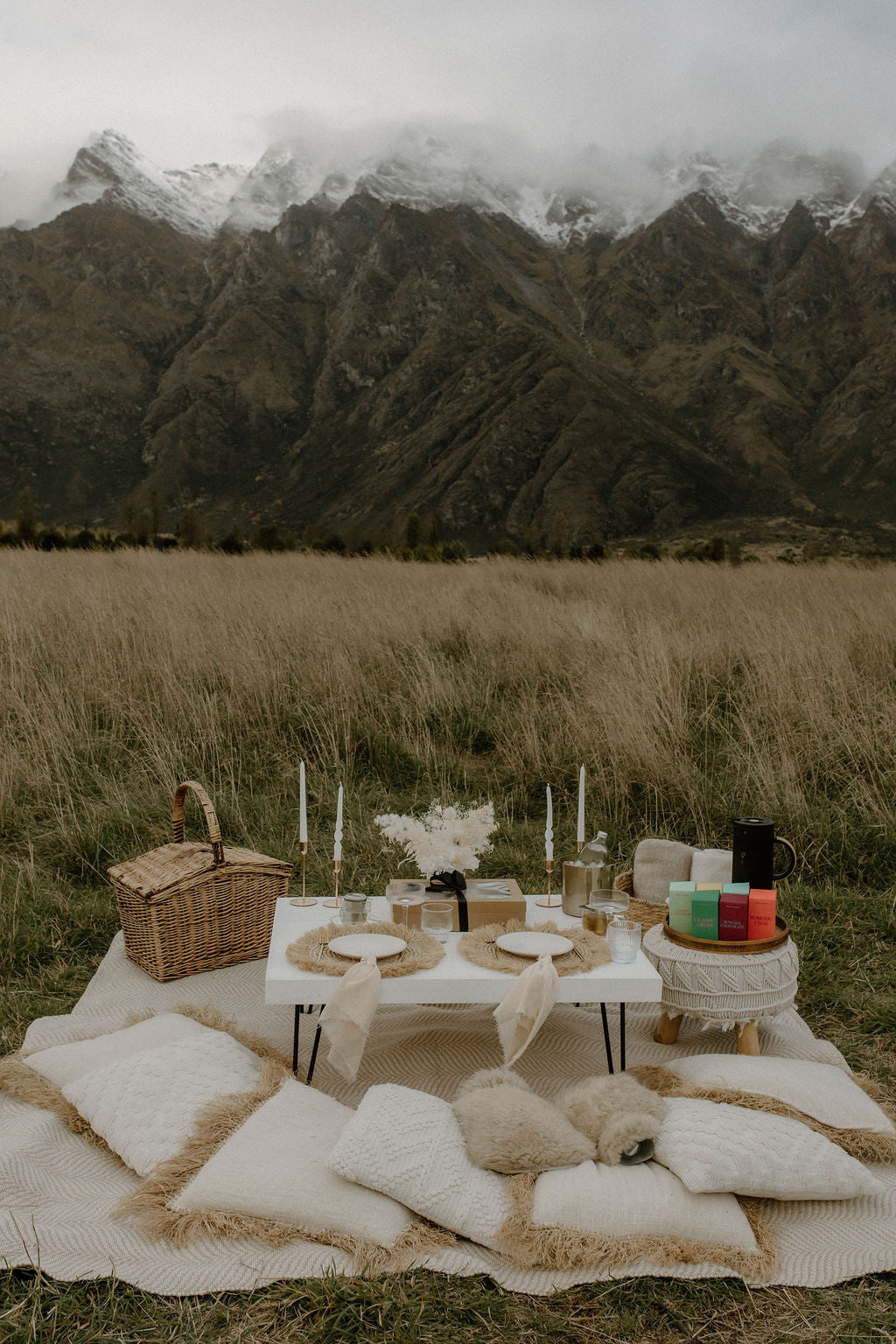 Luxurious picnic setup with table, chairs, and decorations in a field with mountains in the background