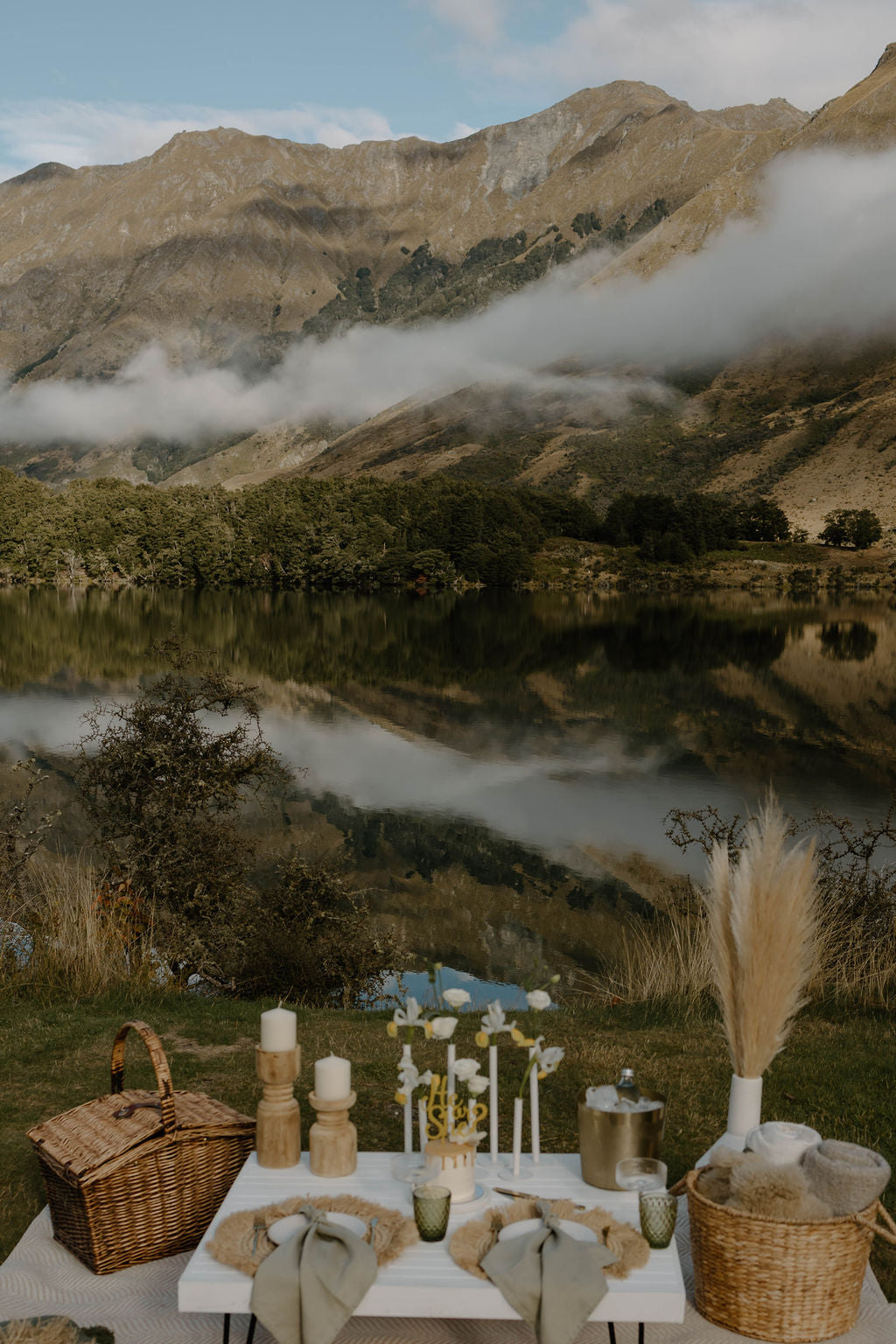 Gender Reveal Picnic