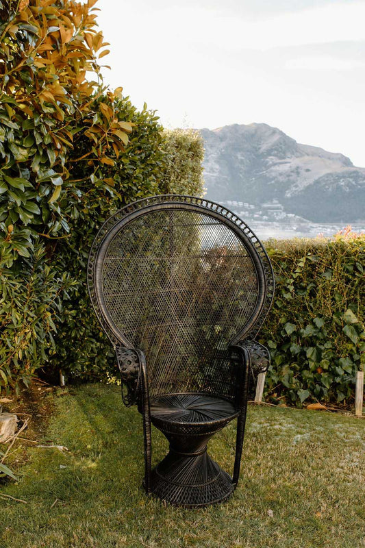 Peacock Chair