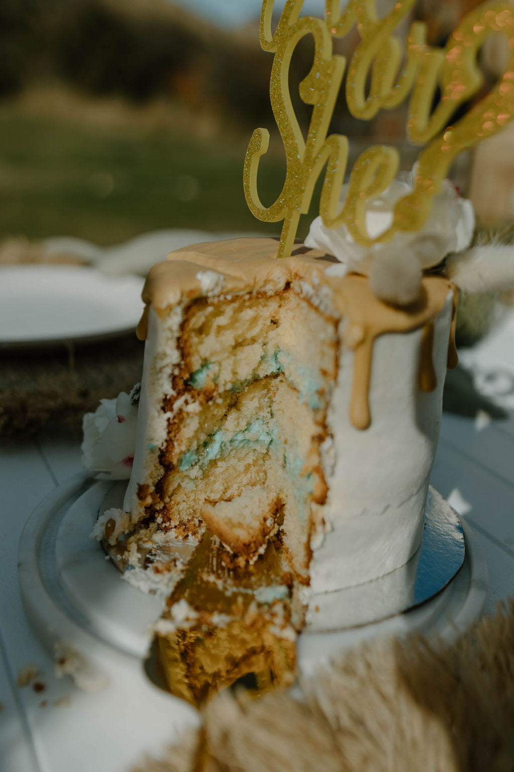 Gender Reveal Picnic