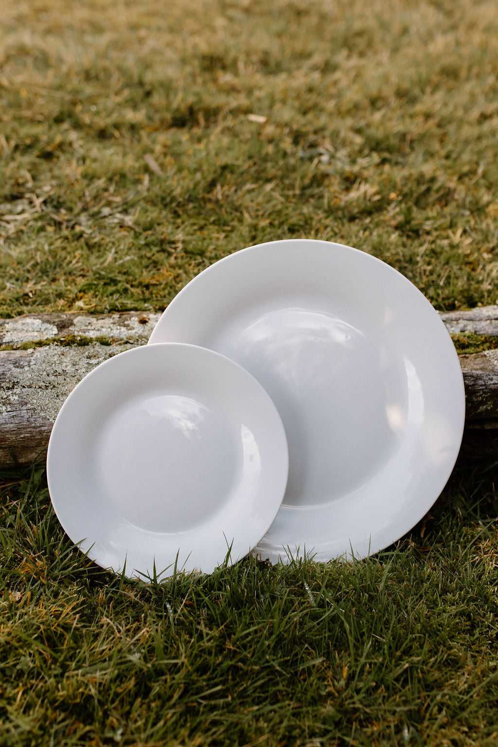 Dinner & Side plate set
