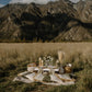 Romantic picnic setup with table and decorations in a field with mountains in the background